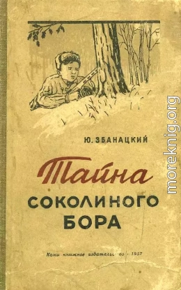 Тайна Соколиного бора