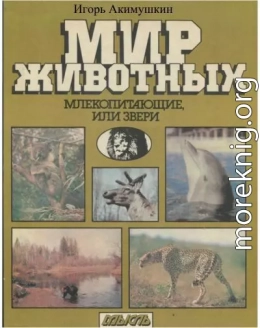 Мир животных: Млекопитающие, или звери