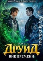 Друид. Вне времени