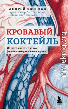 Кровавый коктейль. Из чего состоит и как функционирует ваша кровь