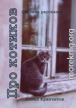 Про котиков