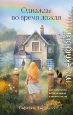 Однажды во время дождя. Одна случайная встреча может изменить жизнь