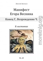 Манифест Егора Веснина в листовках