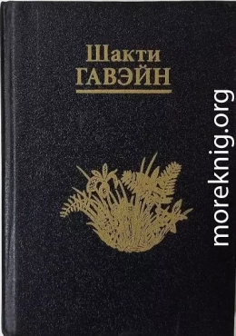 Возвращение в Сад