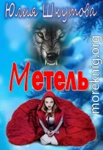 Метель