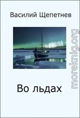 Во льдах