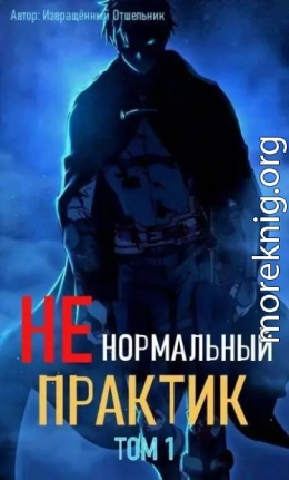 Ненормальный практик 1