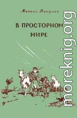 В просторном мире