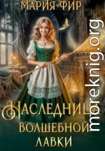 Наследница волшебной лавки
