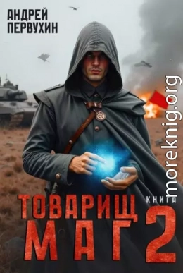 Товарищ маг. Книга вторая