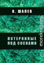 Потерянные под соснами