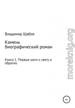 Камень. Биографический роман. Книга 1. Первые шаги к свету и обратно