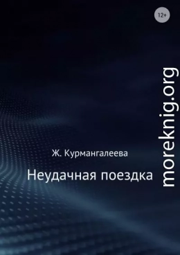 Неудачная поездка