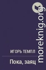 Пока, заяц
