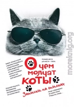 О чём молчат коты