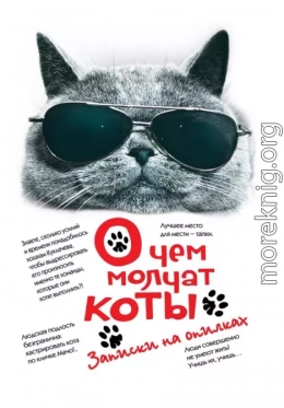 О чём молчат коты