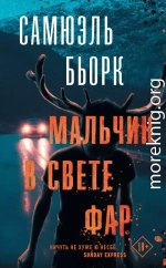 Мальчик в свете фар