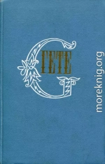 Собрание сочинений в десяти томах. Том восьмой. Годы странствий Вильгельма Мейстера, или Отрекающиеся