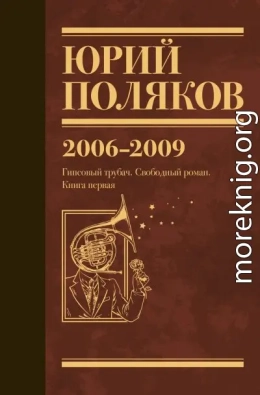 Собрание сочинений. Том 6. 2006–2009