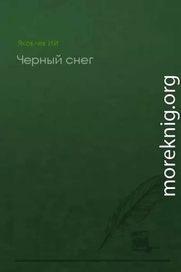 Черный снег (без конца)