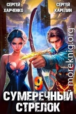 Сумеречный стрелок 9