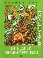 Пять дней из жизни черепахи  [сборник 1989, худ. М. Ромадин]