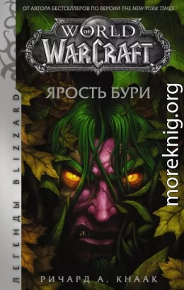 World of Warcraft. Ярость Бури