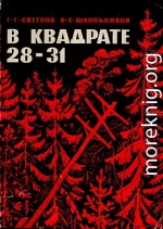 „В квадрате 28-31“