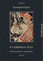 В тайниках тела (Приключения в микромире. Том VI)