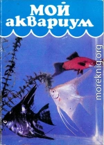 Мой аквариум