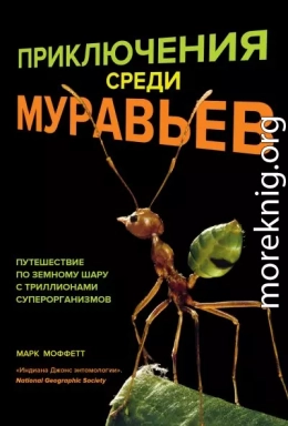 Приключения среди муравьев. Путешествие по земному шару с триллионами суперорганизмов