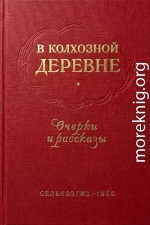 В колхозной деревне. Очерки и рассказы
