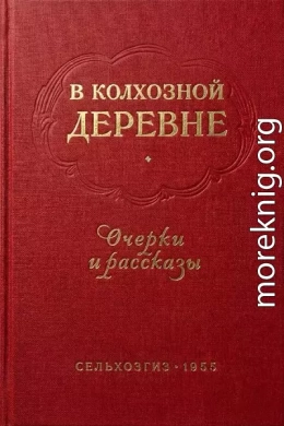 В колхозной деревне. Очерки и рассказы