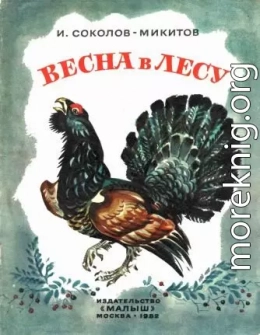 Весна в лесу