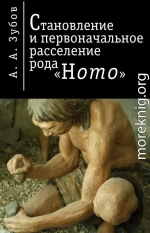 Становление и первичное расселение рода «Homo»