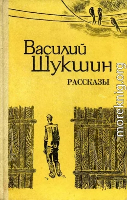 Рассказы