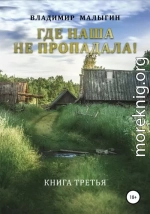 Где наша не пропадала – 3