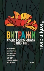 Витражи. Лучшие писатели Хорватии в одной книге