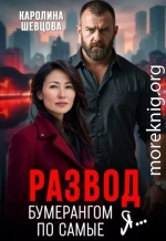 Развод. Бумерангом по самые я...