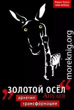 “Золотой осел