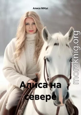 Алиса на севере