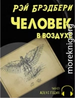 Человек в воздухе