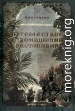 Путешествие с домашними растениями