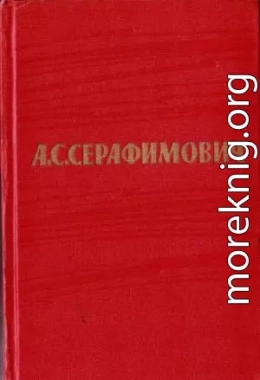 Том 6. Рассказы, очерки. Железный поток