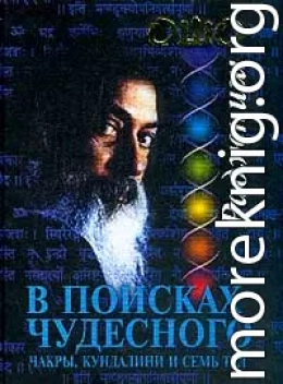 В поисках Чудесного. Чакры, Кундалини и семь тел