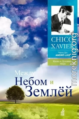 Между небом и землей. Через Дух Андрэ Луиса