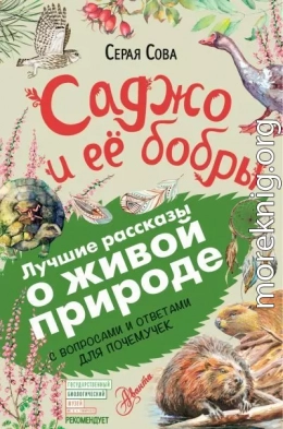 Саджо и ее бобры. С вопросами и ответами для почемучек