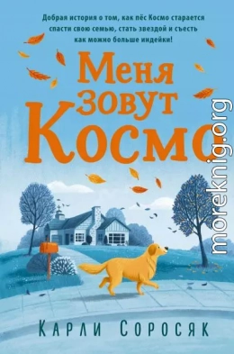 Меня зовут Космо