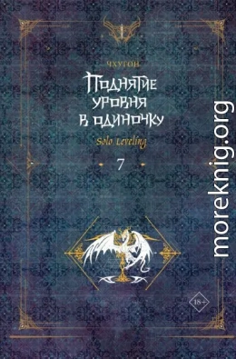 Поднятие уровня в одиночку. Solo Leveling. Книга 7