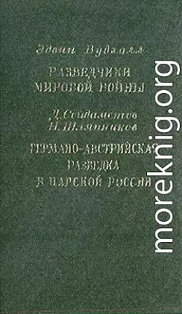 Разведчики мировой войны. Германо-австрийская разведка в царской России